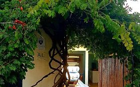 Conde Surf Camp - Junto Ao Mar - Entire Pvt House