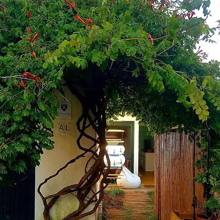Conde Surf Camp - Junto Ao Mar - Entire Pvt House Vila Vila do Conde Exterior foto