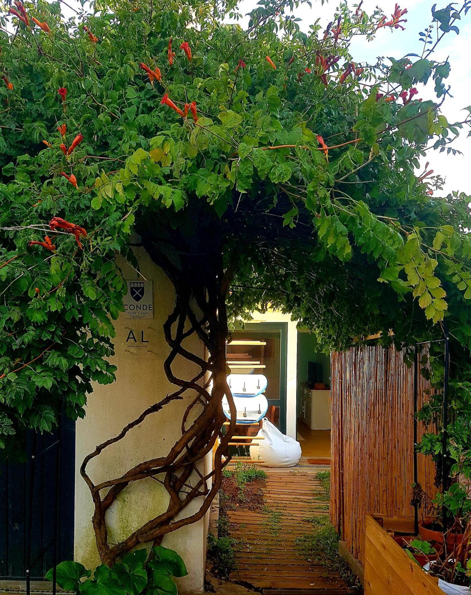 Conde Surf Camp - Junto Ao Mar - Entire Pvt House Vila Vila do Conde Exterior foto
